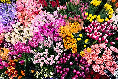 索尼预告2023年黑五折扣计划 基础会员订阅打7折