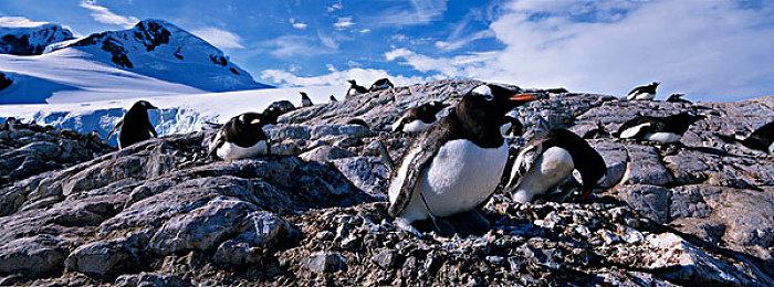 东方小镇3D探索冒险游戏《黄昏沉眠街》任天堂e-shop预售开始！