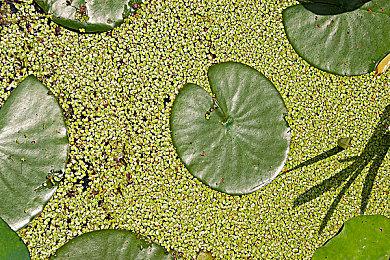 《灵魂骇客2》新预告公布 8月26日正式发售